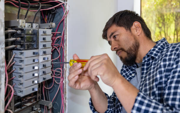 Best Electric Panel Repair  in Elmwood, IL